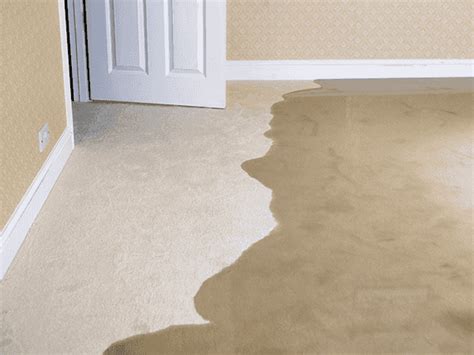 gainesville fl slab leak detection|Home